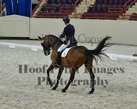 CWdressageII(8-21-16)2255