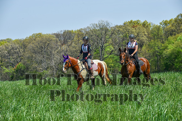 CheshireSpringPC1(4-28-24)0364