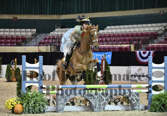 MidAtEqFest(11-14-15)1771