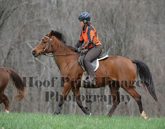 FairhillPC(4-18-14)0512