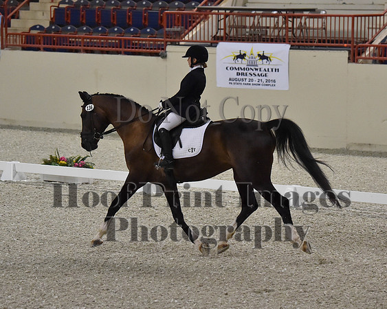 CWdressageII(8-21-16)1481