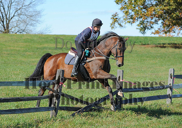 Cheshire(10-19-14)0177