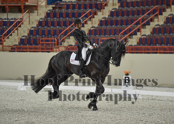 CWdressageI(8-20-16)1648