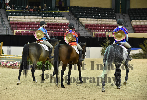 MidAtEqFest(11-14-15)1314