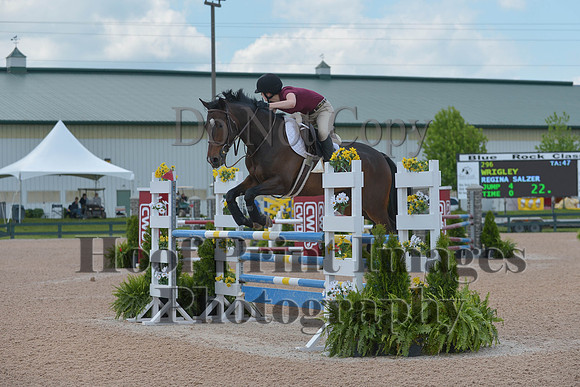 BRSa(5-17-14)HChAdJ0236