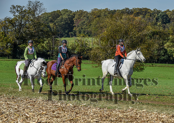 CheshirePC(10-18-20)0570