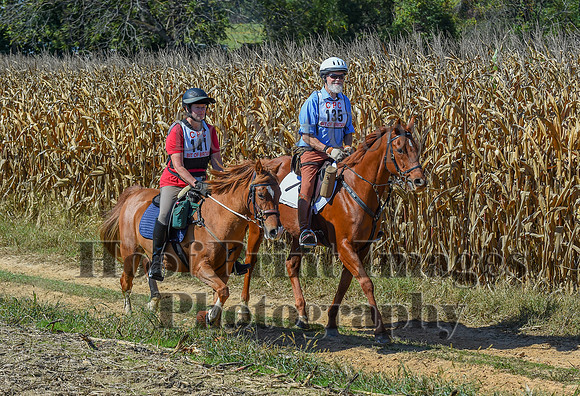 CheshirePonyClubPC(10-6-24)0639