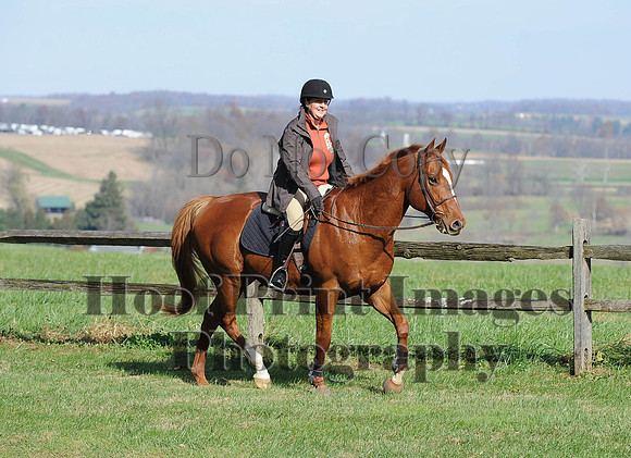 AndrewsBr(11-9-14)0082