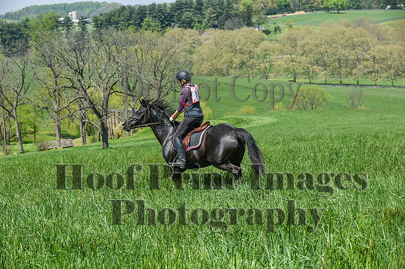 CheshireSpringPC1(4-28-24)0492
