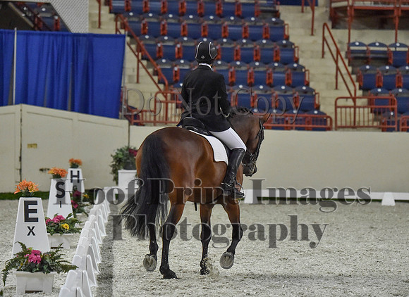 CWdressageI(8-20-16)1294