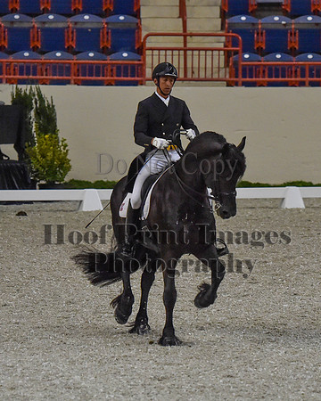 CWdressageII(8-21-16)0607