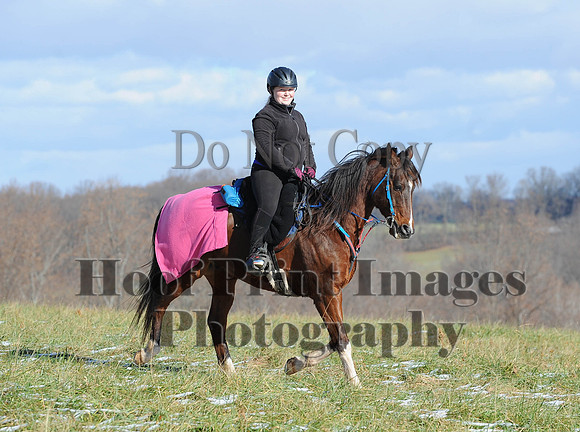 FairHill(11-28-14)0021