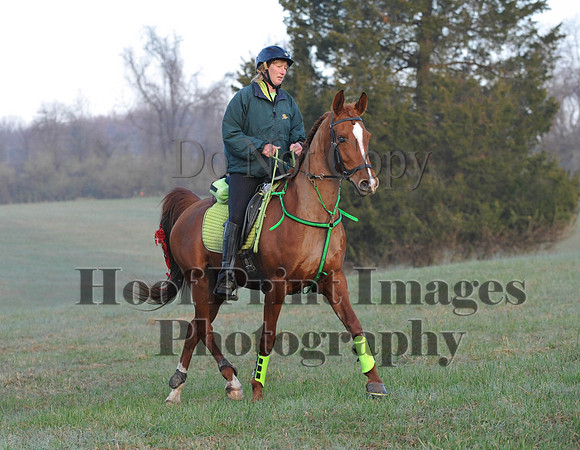 Foxcatcher(4-12-14)0167