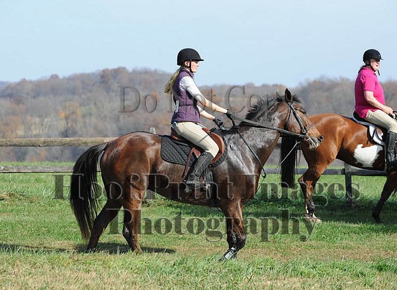 AndrewsBr(11-9-14)0193