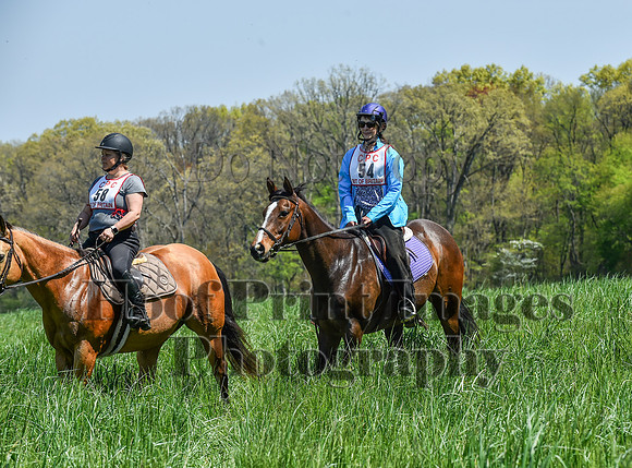CheshireSpringPC1(4-28-24)0470