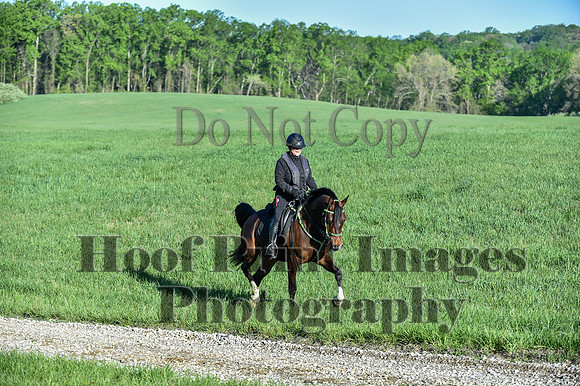 ChesapeakeSpring(4-27-25)0124