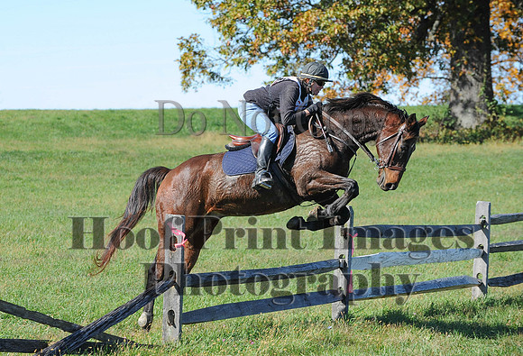 Cheshire(10-19-14)0245