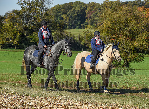 CheshirePC(10-18-20)0281