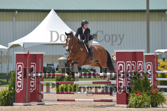 BRSa(5-17-14)HChAdJ0239