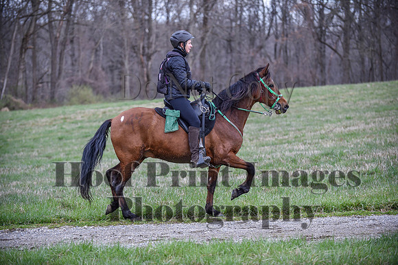 ChesapeakeSpring(4-10-22)0241
