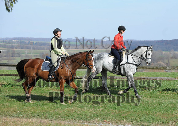 AndrewsBr(11-9-14)0270