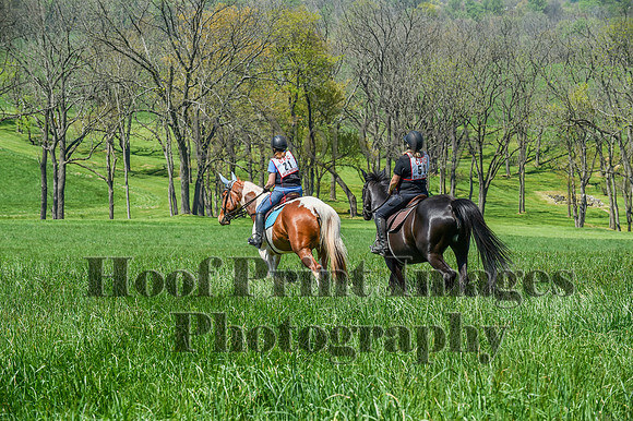 CheshireSpringPC1(4-28-24)0409