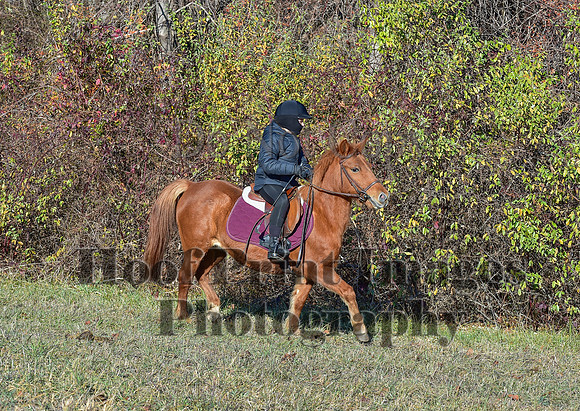 FairHillFallPC(11-30-24)0228