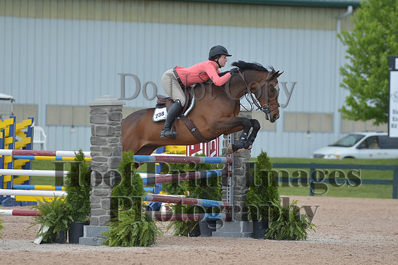 BRSa(5-17-14)HChAdJ0218