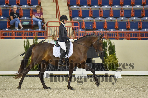 CWdressageI(8-20-16)0626