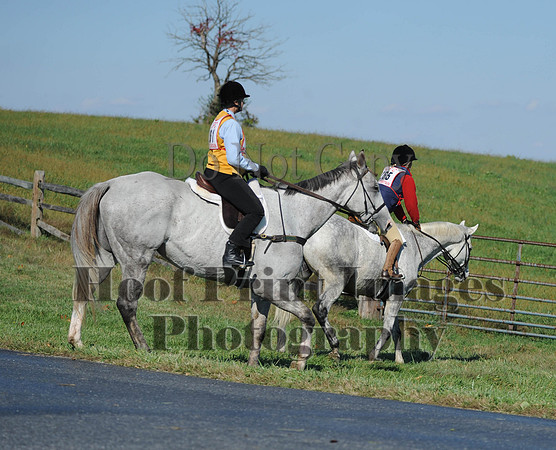 Cheshire(10-20-13)0484