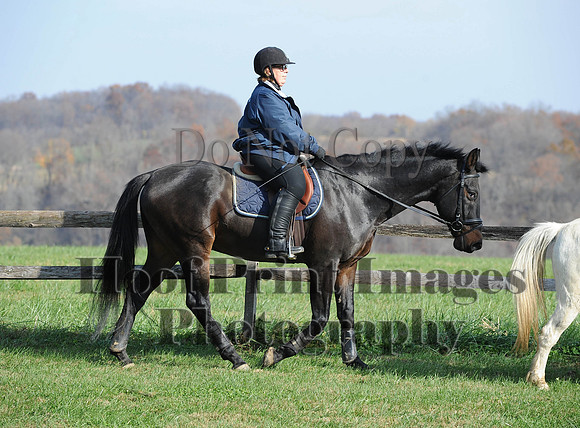 AndrewsBr(11-9-14)0159