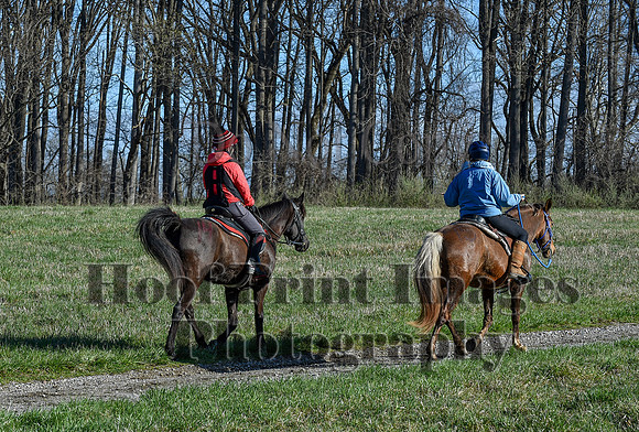 ChesapeakeSpring(4-10-22)0448