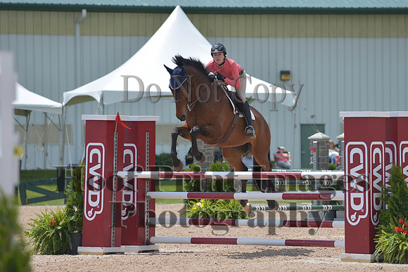 BRSa(5-17-14)HChAdJ0253