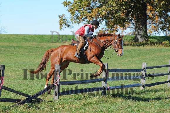 Cheshire(10-19-14)0265