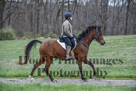 ChesapeakeSpring(4-10-22)0275
