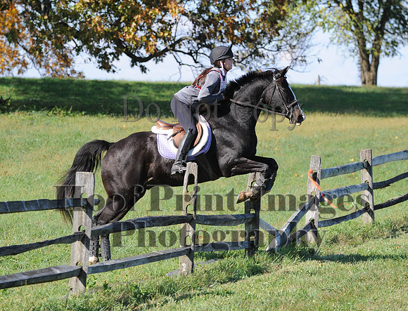 Cheshire(10-20-13)0536