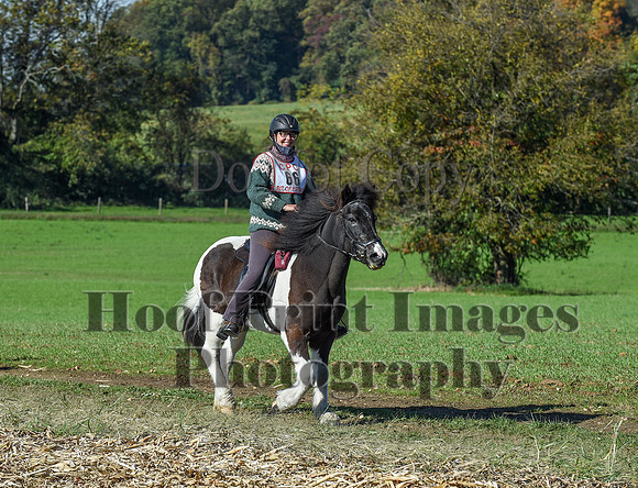 CheshirePC(10-18-20)0298