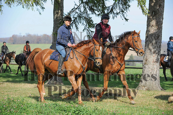 AndrewsBr(11-9-14)0176