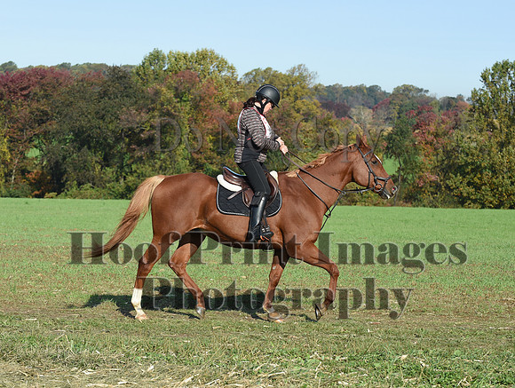 CheshirePC(10-18-20)0042
