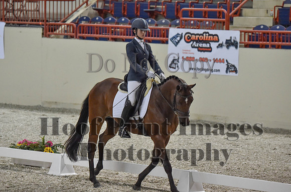 CWdressageI(8-20-16)0334