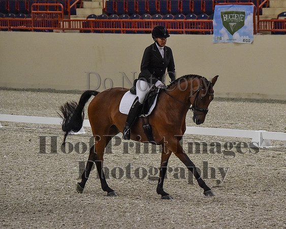 CWdressageII(8-21-16)0158