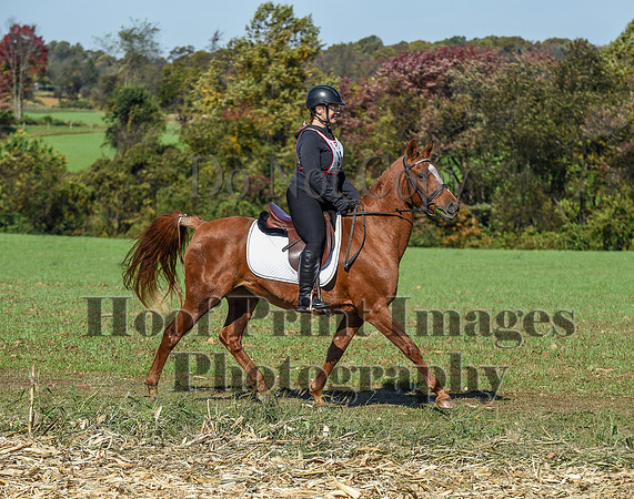 CheshirePC(10-18-20)0479