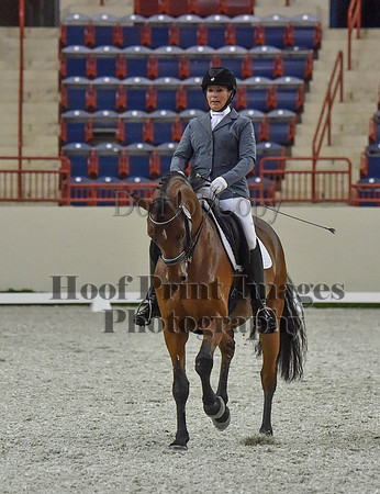 CWdressageI(8-20-16)1164