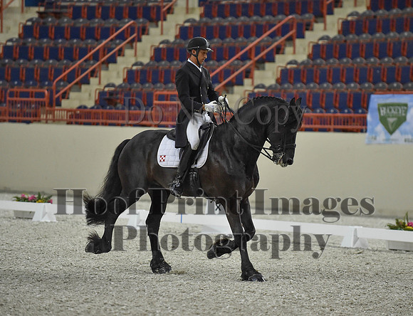 CWdressageI(8-20-16)1676