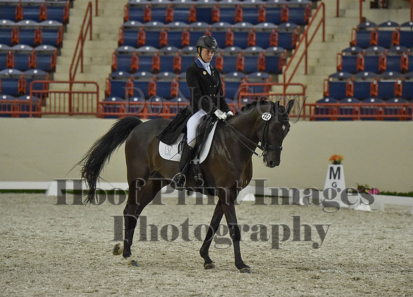 CWdressageI(8-20-16)1478