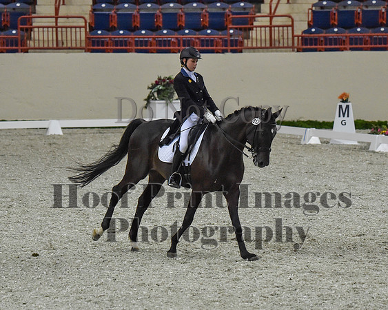 CWdressageII(8-21-16)0677