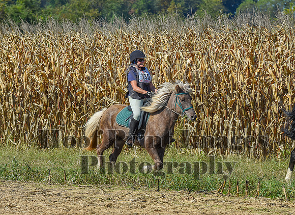CheshirePonyClubPC(10-6-24)0545
