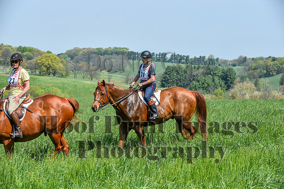 CheshireSpringPC1(4-28-24)0182