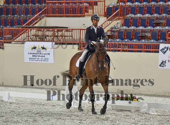 CWdressageI(8-20-16)1365