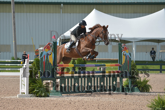 BRSa(5-17-14)HChAdJ0074